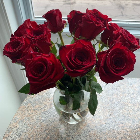 Meet your Posher, Louisa - Picture 1 of 1